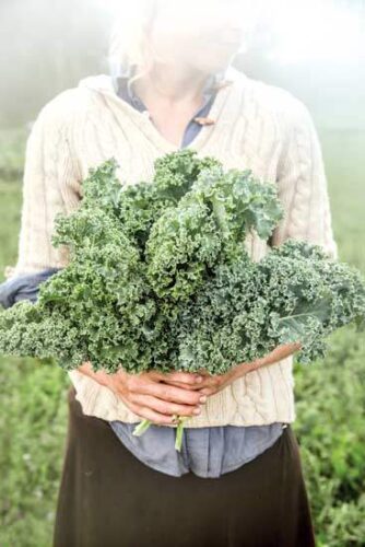 3 Woman-Owned Seed Companies